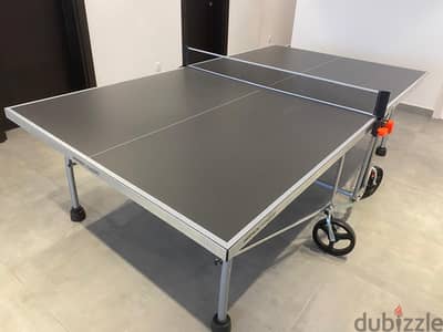 Ping pong/Table Tennis