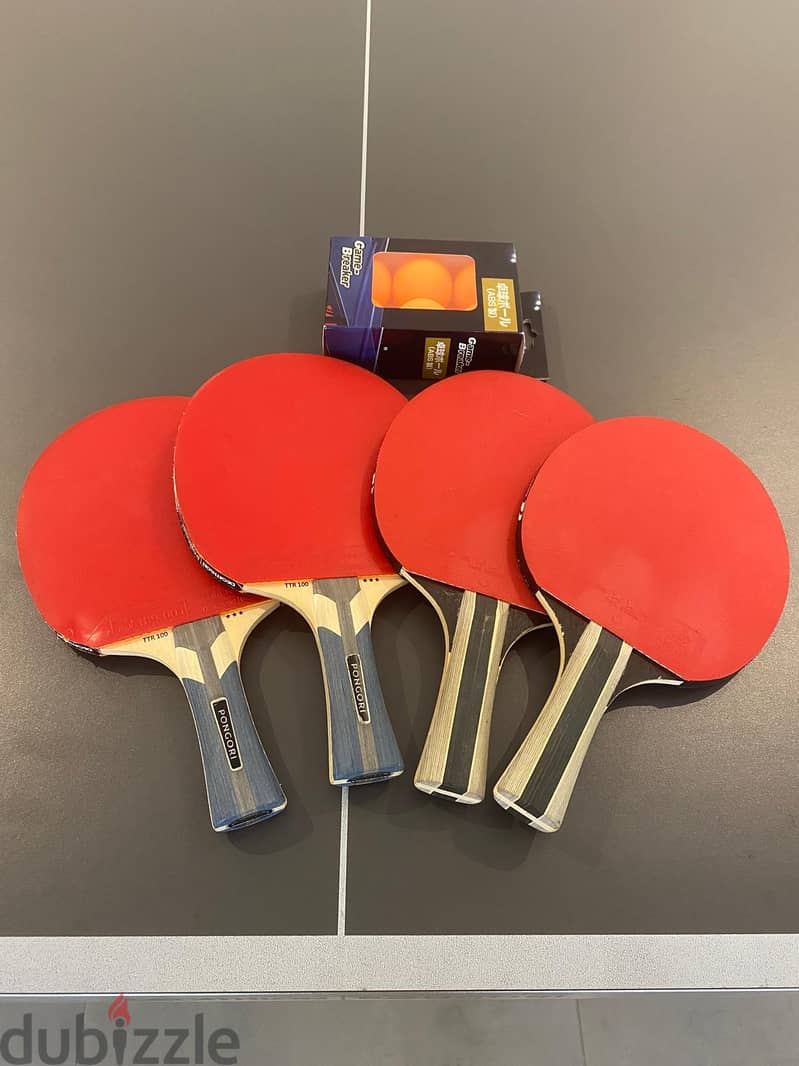 Ping pong/Table Tennis 4