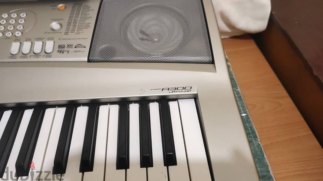 YAMAHA PSR A-300 Oriental keyboard little used in Cartoon 2