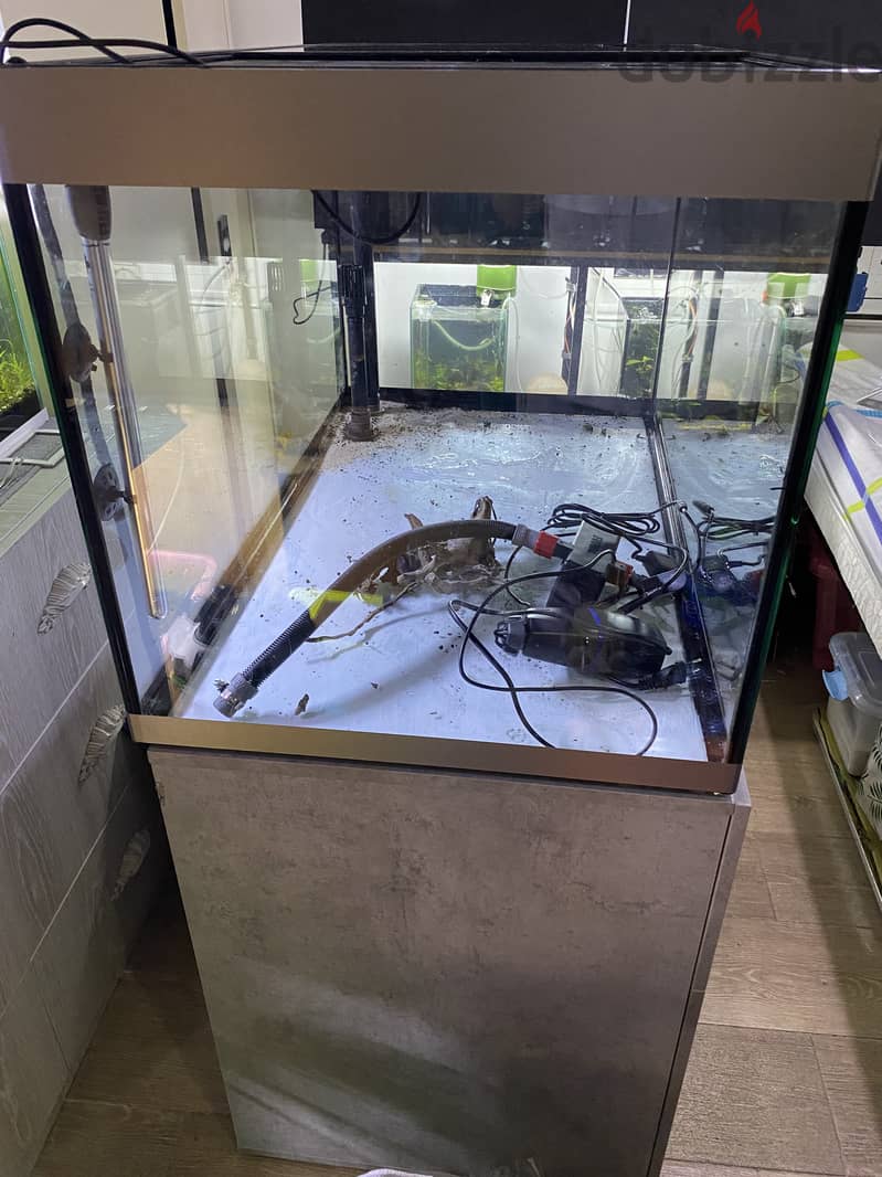 Aquarium FLUVAL 90x55x55cm 2