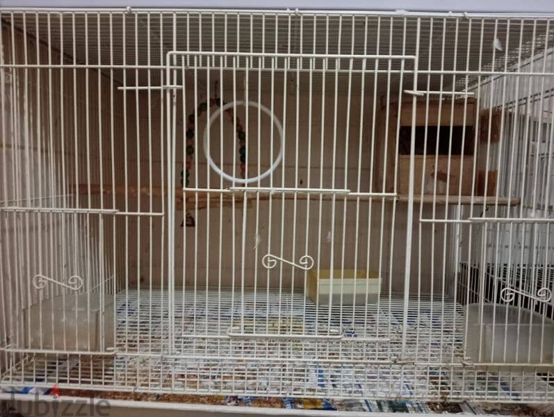 4 large size cage and Pair of Finch birds for sale. 1