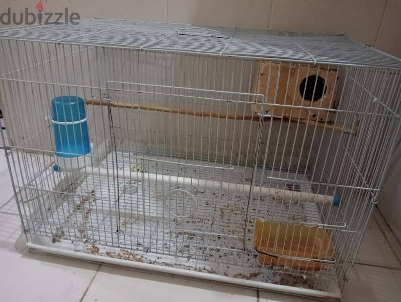 4 large size cage and Pair of Finch birds for sale. 4