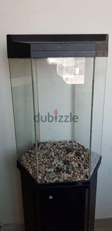 Aquarium/Fish Tank (Hexagonal) with table and filter