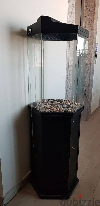 Aquarium/Fish Tank (Hexagonal) with table and filter 1