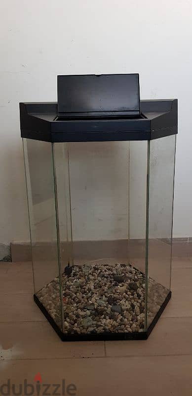 Aquarium/Fish Tank (Hexagonal) with table and filter 3