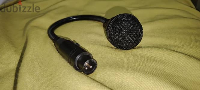 Flexible microphone