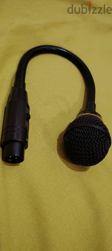 Flexible microphone 2