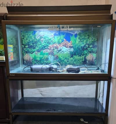 Fish tank for sale