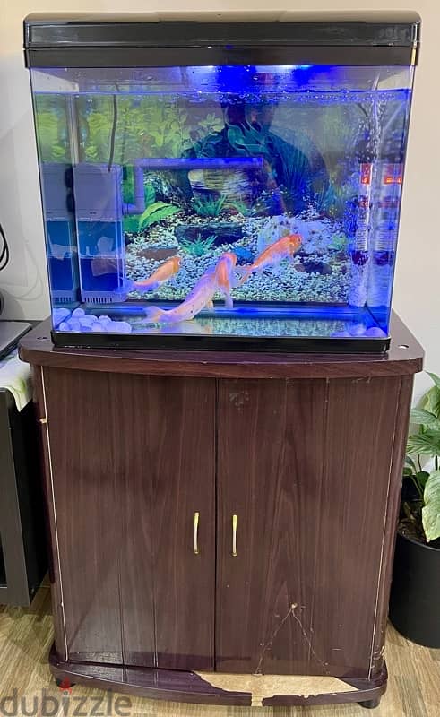 Aquarium with Fish and Stand 1