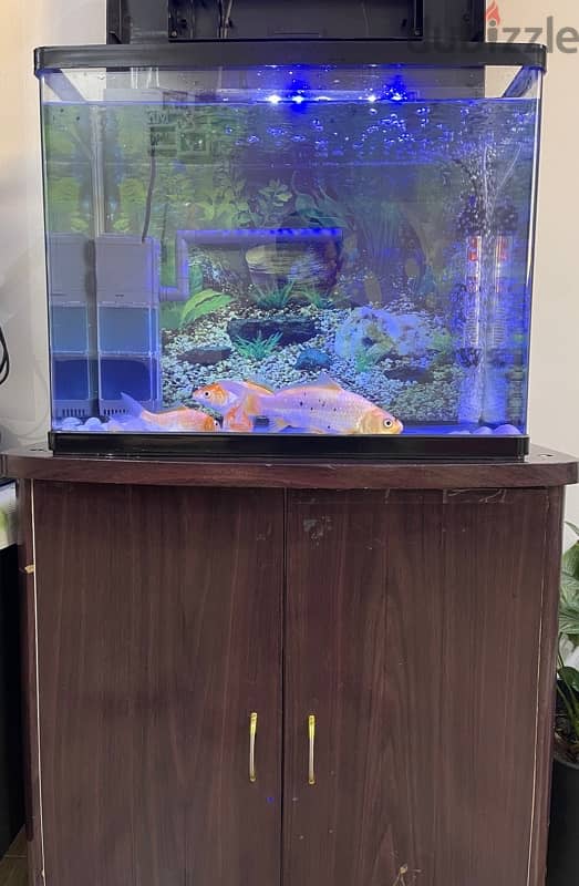 Aquarium with Fish and Stand 2