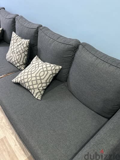 Sofa ( gray color)