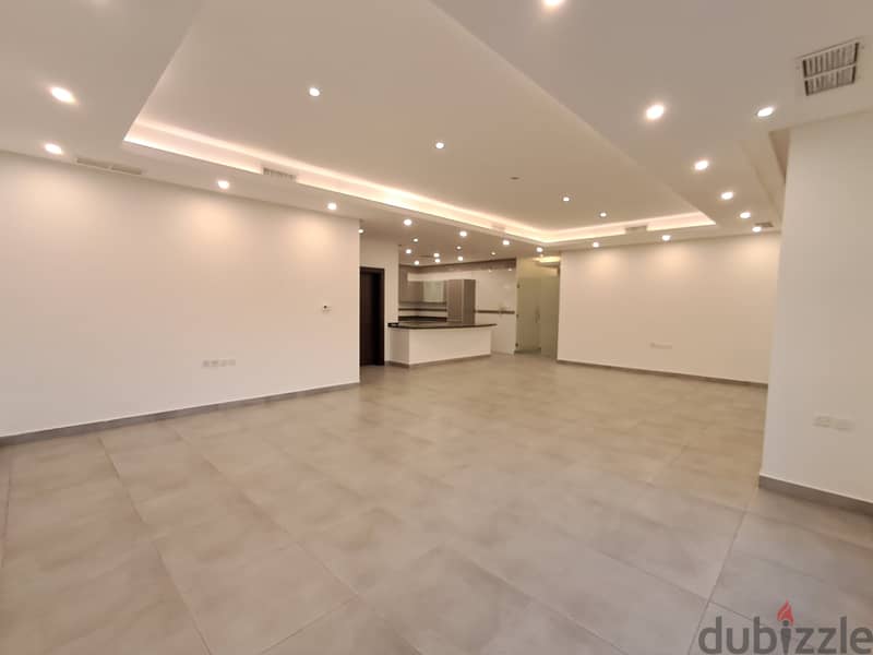 Spacious 3 Bedroom with terrace 0