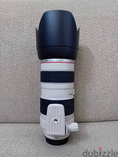 Canon EF 70-200mm F/2.8L 1