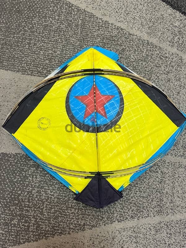 Indian Kites For Flying or Decoration 3