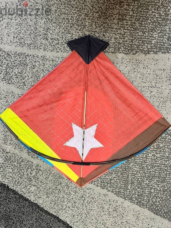 Indian Kites For Flying or Decoration 6