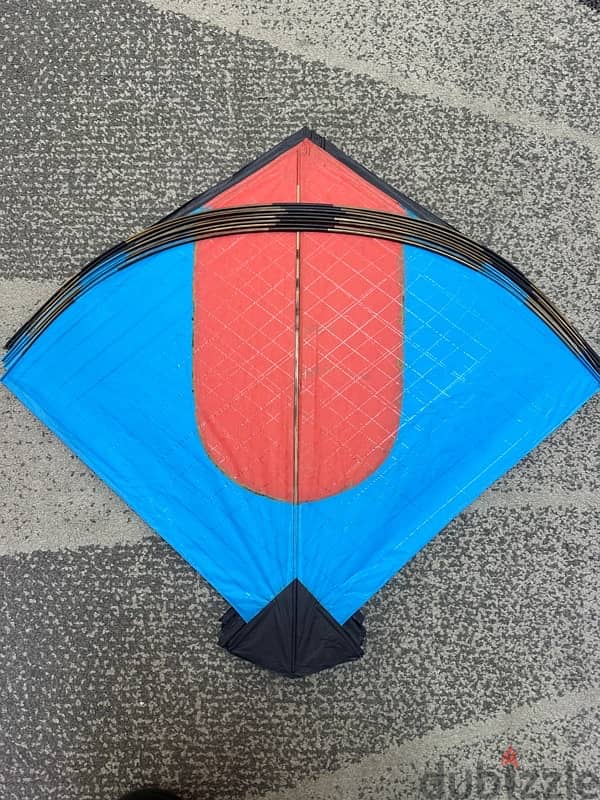 Indian Kites For Flying or Decoration 8