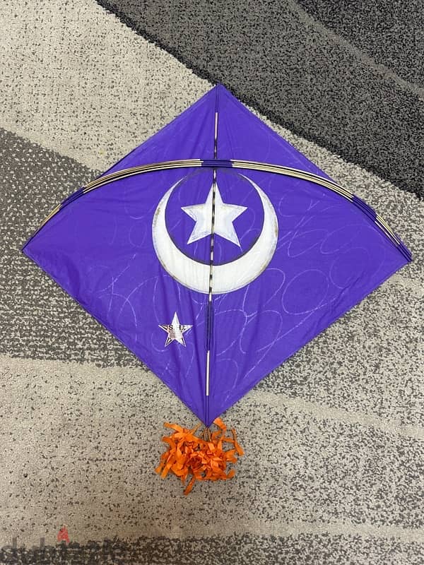 Indian Kites For Flying or Decoration 12