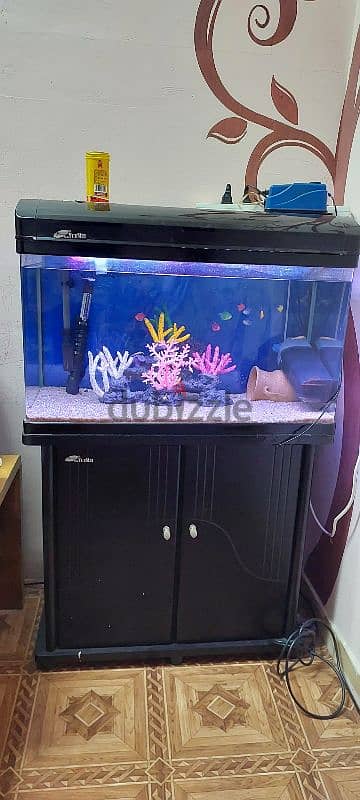 Aquarium for sale