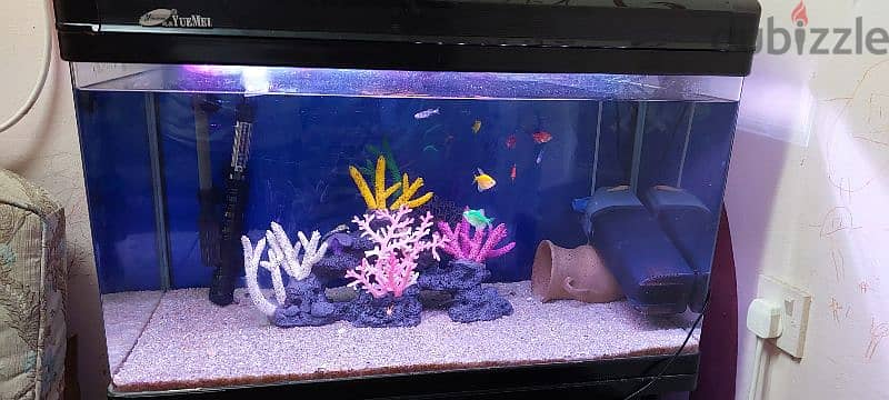 Aquarium for sale 1