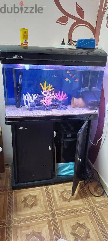 Aquarium for sale 2