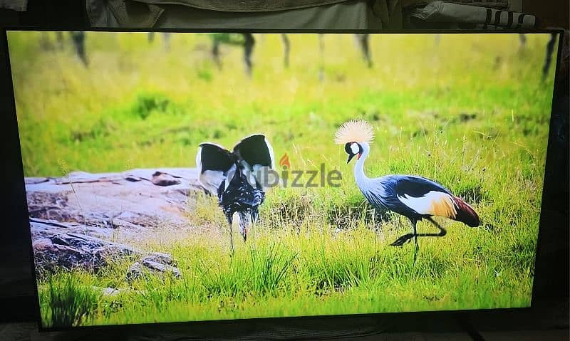 65 INCH SAMSUNG QLED 4K SMART UHD TV VERY GOOD CONDITION 2023 MODEL 4