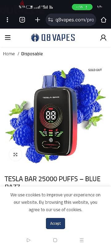 TESLA BAR 25000 PUFFS – Vape all flavors