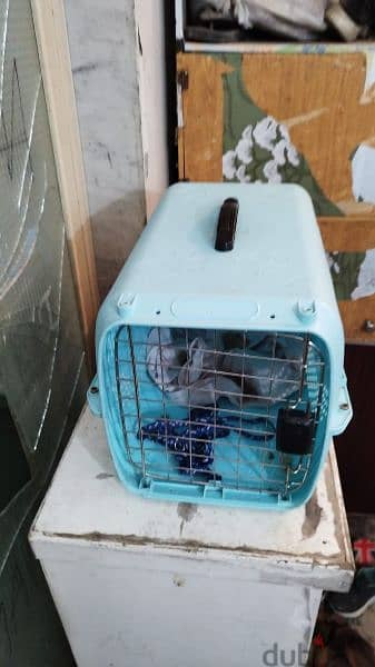 cat cage FOR sale