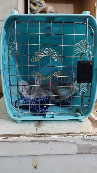 cat cage FOR sale 2