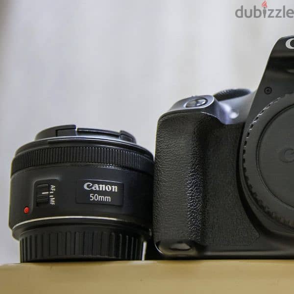 Canon 1300D / Canon 18-55mm / Canon 50mm 1