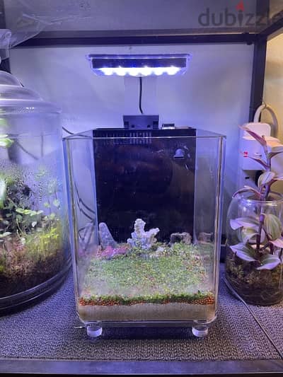 2 planted aquarium for sale.