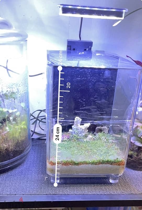 2 planted aquarium for sale. 1