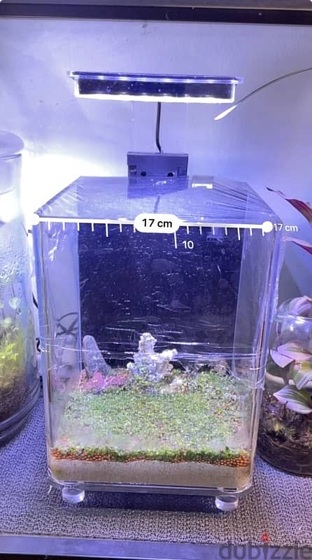 2 planted aquarium for sale. 2