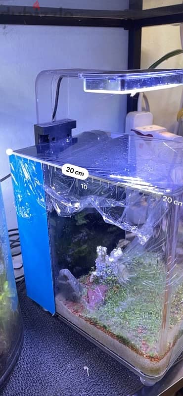 2 planted aquarium for sale. 3