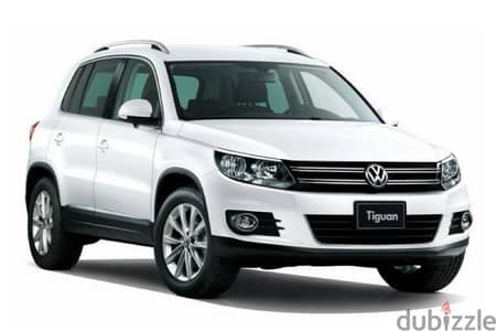 Volkswagen Tiguan 2012