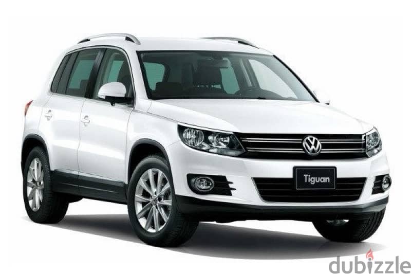 Volkswagen Tiguan 2012 0