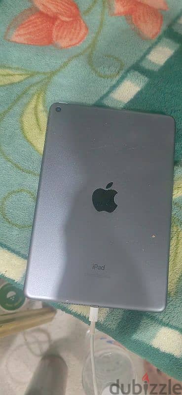 iPad mini 5 1