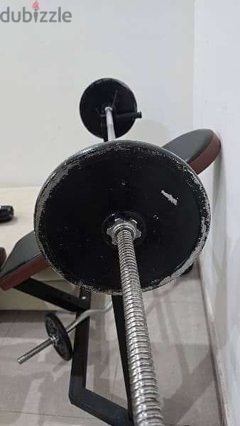 weight lifting equipment 1