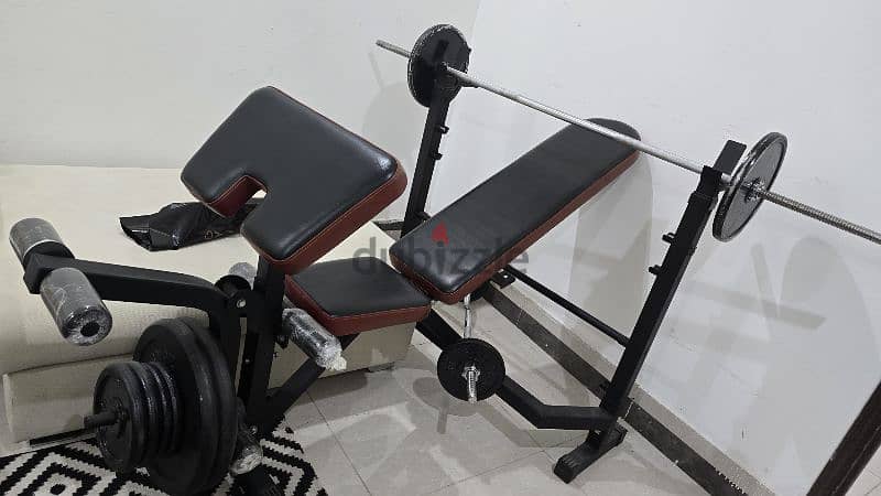 weight lifting equipment 9