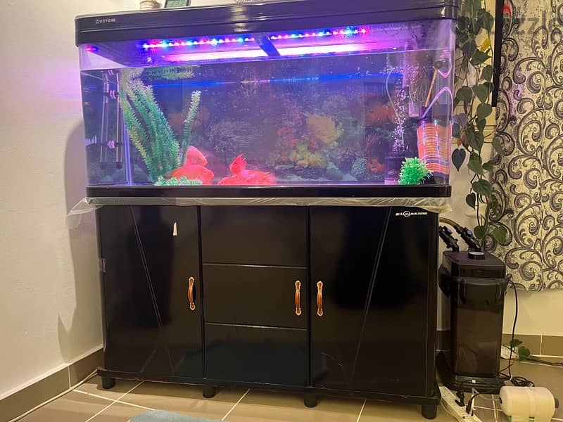 Fish tank for sale 1