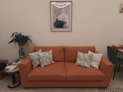 Sofa Furniture