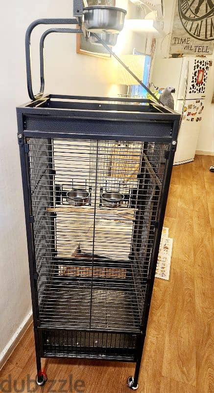 New cage for sale 2