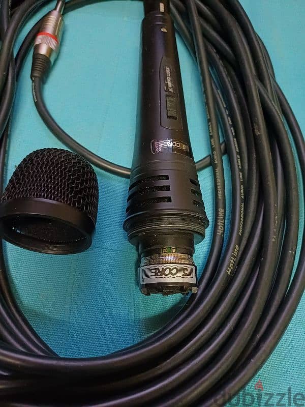 mic +cable 1