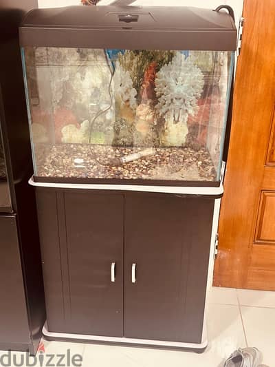 Aquarium with Stand and Shoe Rack