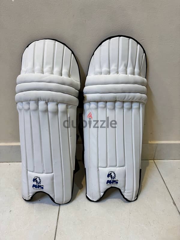 CRICKET SPORTS KIT New Condition 4