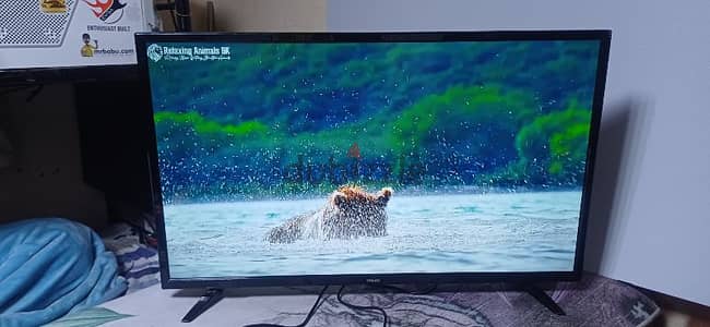 LED TV 40 inch wansa good working no issues