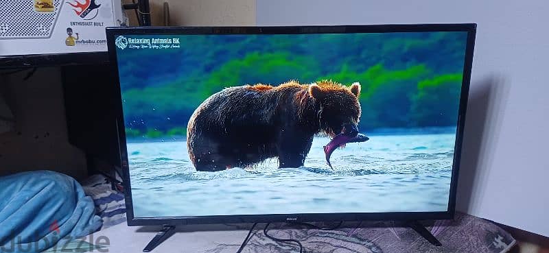 LED TV 40 inch wansa good working no issues 1