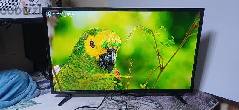 LED TV 40 inch wansa good working no issues 2