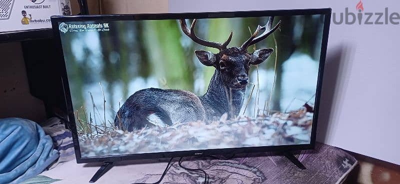 LED TV 40 inch wansa good working no issues 3