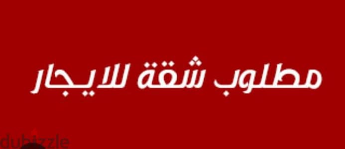 مطلوب شقة حق معاريس