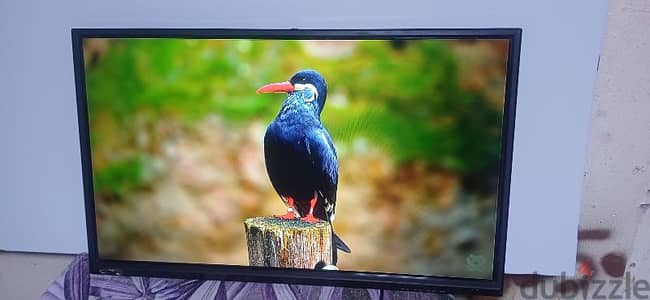 LED TV 39 inch ozzan good working no issues